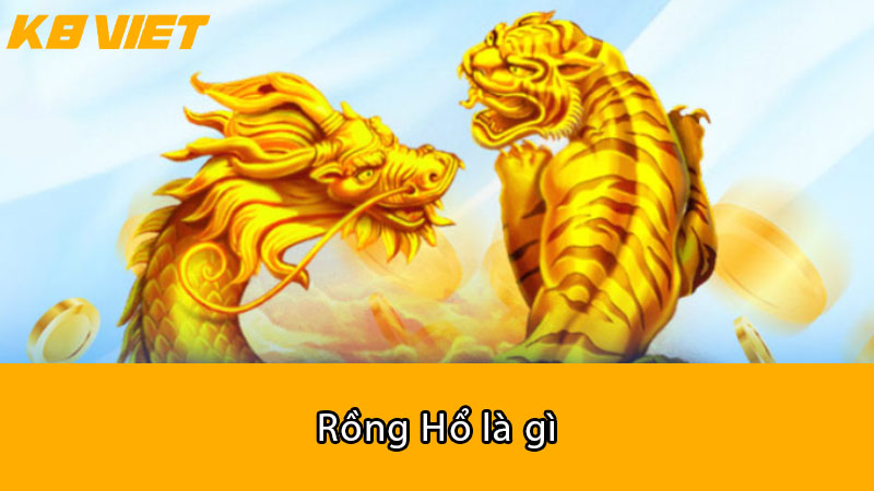 Rồng Hổ là gì?